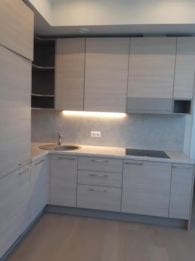 Apartment In Druskininkai City Centre Exteriör bild